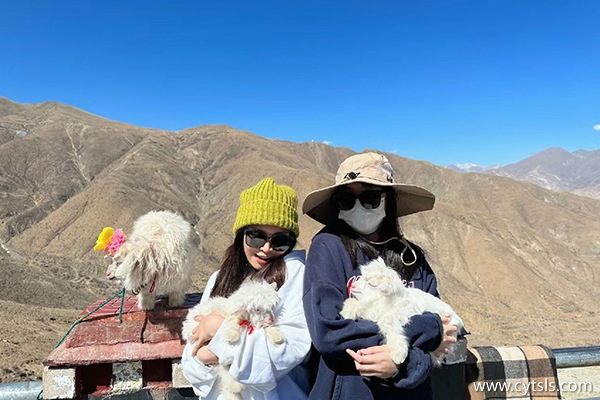 江蘇南通在西藏報團(tuán)7天多少錢